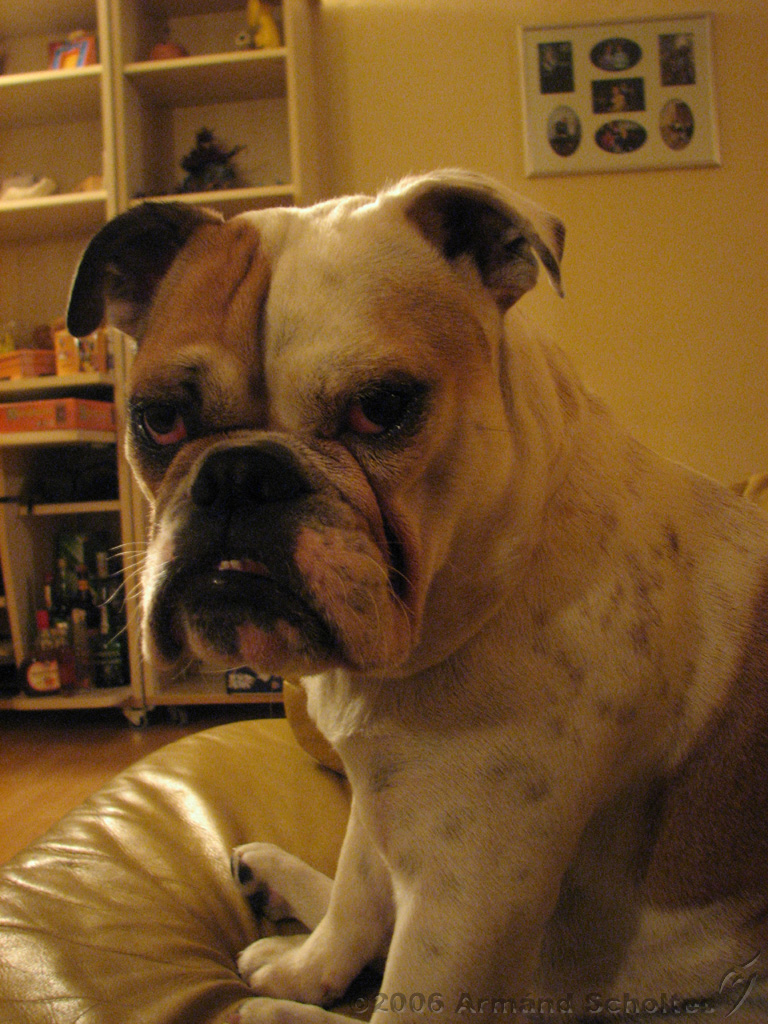 Wendy_-_Lucy_007.jpg