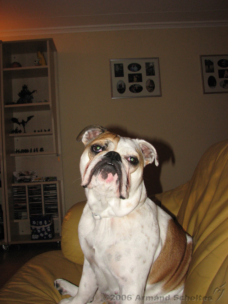 Wendy_-_Lucy_010.jpg