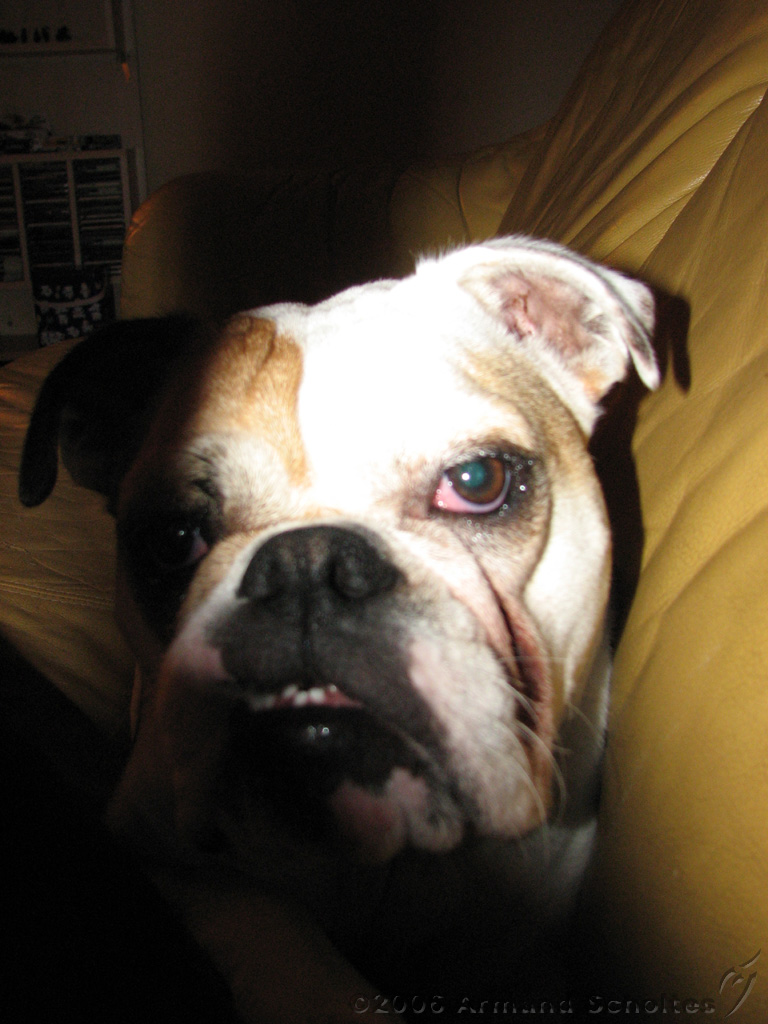 Wendy_-_Lucy_015.jpg