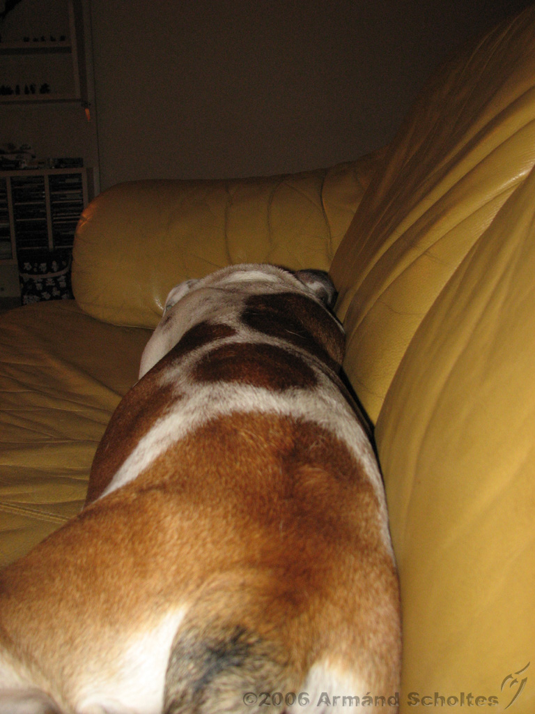 Wendy_-_Lucy_017.jpg