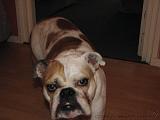 Wendy_-_Lucy_002