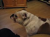 Wendy_-_Lucy_003