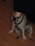 Wendy_-_Lucy_004