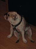 Wendy_-_Lucy_006
