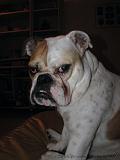 Wendy_-_Lucy_008