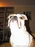 Wendy_-_Lucy_009