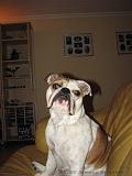 Wendy_-_Lucy_010