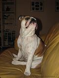 Wendy_-_Lucy_011