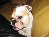 Wendy_-_Lucy_014