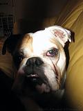 Wendy_-_Lucy_015