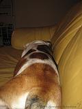 Wendy_-_Lucy_017