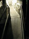 BergBau_Museum_@_Bochum_112
