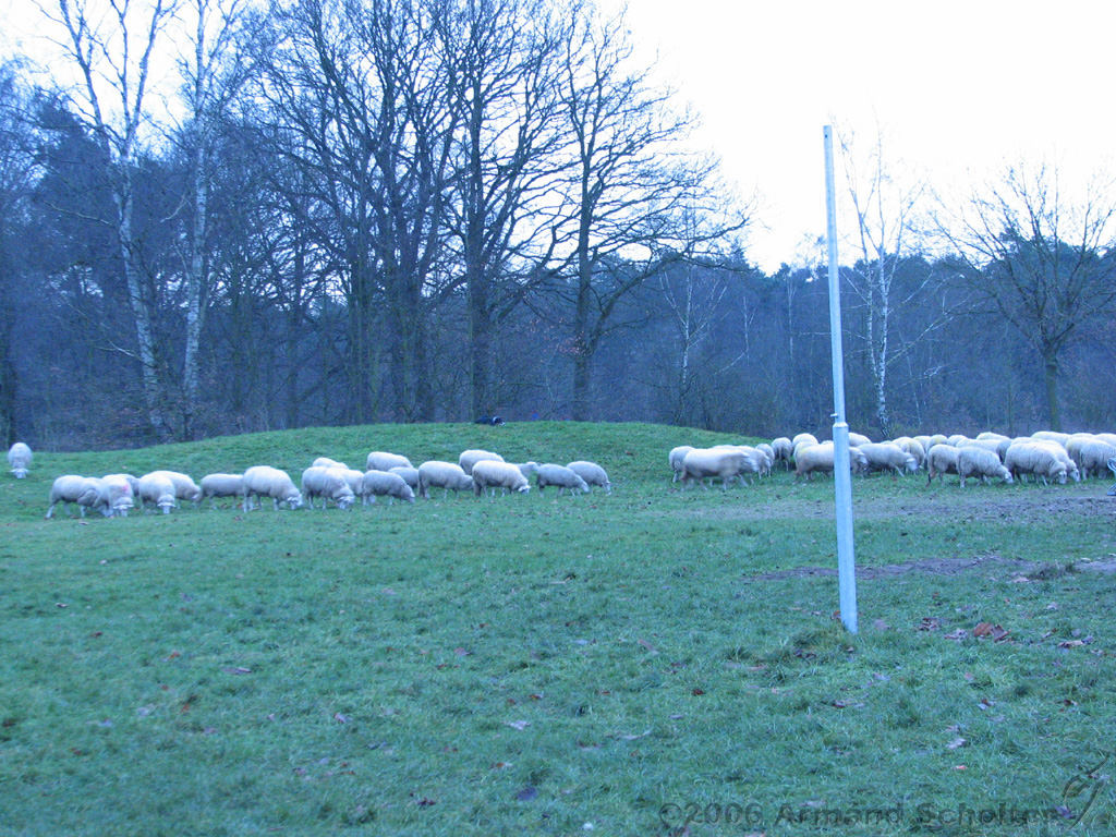 Middeleeuws_festijn_bij_Busloo_31.jpg