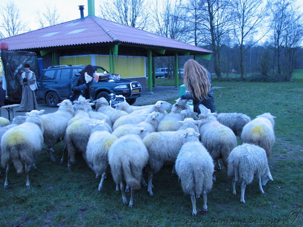 Middeleeuws_festijn_bij_Busloo_36.jpg