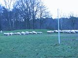 Middeleeuws_festijn_bij_Busloo_31