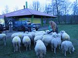 Middeleeuws_festijn_bij_Busloo_35