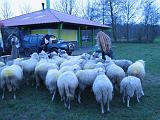 Middeleeuws_festijn_bij_Busloo_36