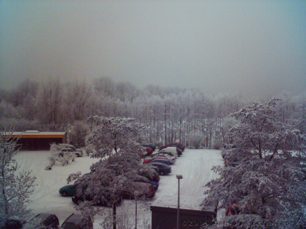 2006-02-02_Aleen_sneeuw_in_Deventer_1.jpg
