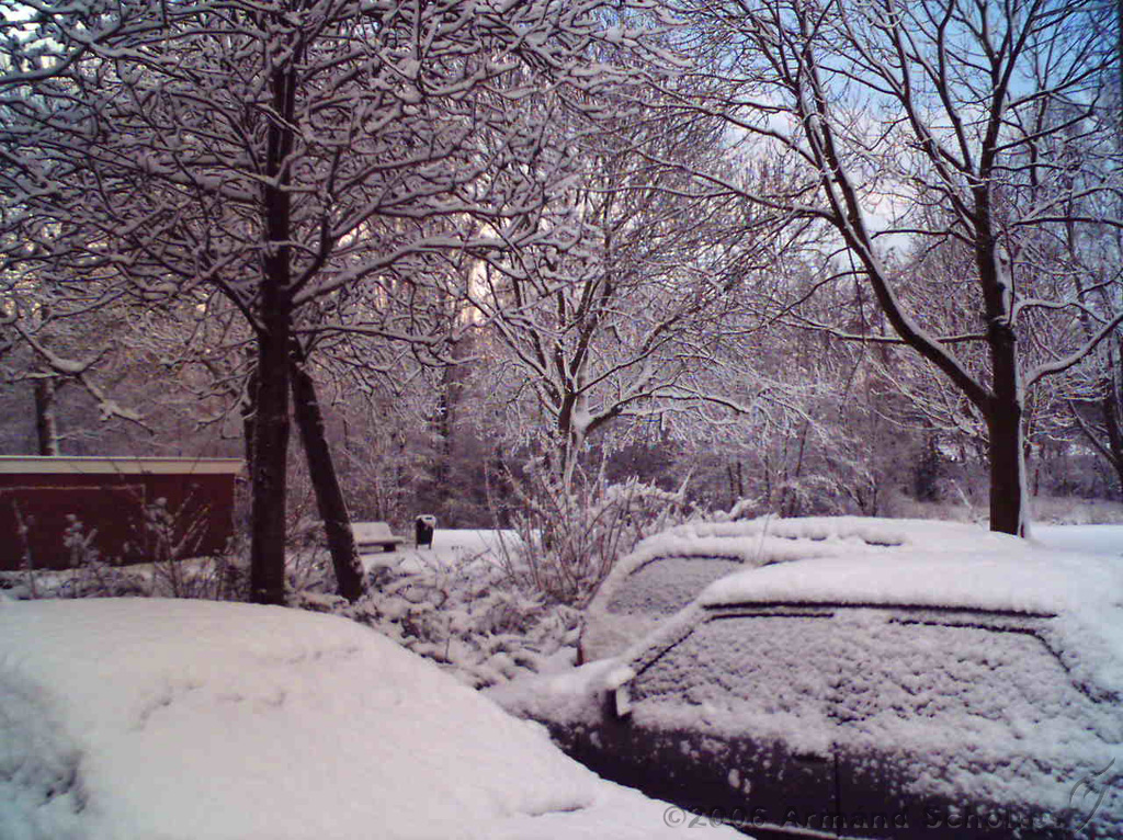 2006-03-02_Sneeuw_in_maart_01.jpg