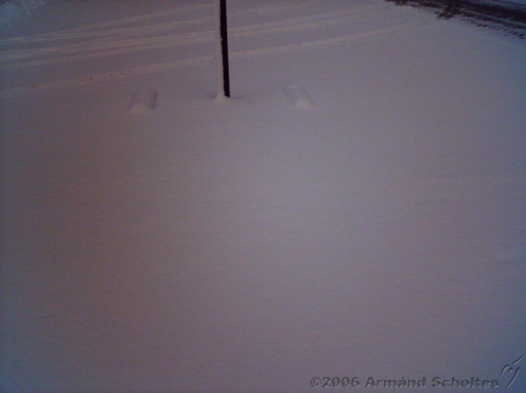 2006-03-02_Sneeuw_in_maart_03.jpg