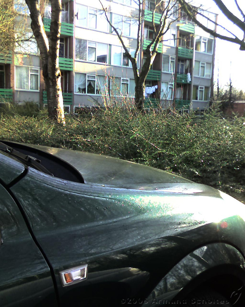 2006-03-12_Winterochtend_in_maart_met_ontdooiende_motorkap.jpg