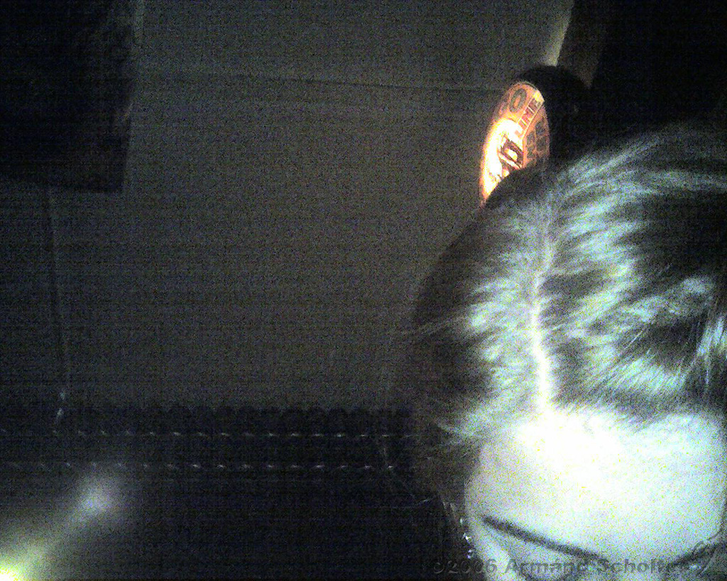 2006-06-11_Josje_in_slaap_gevallen_~2.jpg