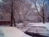 2006-03-02_Sneeuw_in_maart_01