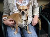 2006-05-27_Katinka_-_Dizzy_~2