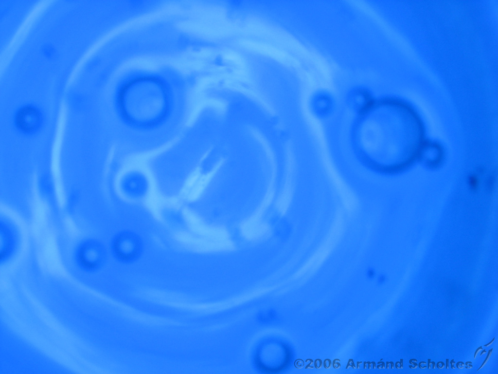 Blue_Pond_1.jpg
