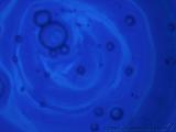 Blue_Pond_2