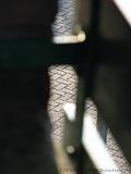 Focus_op_straat