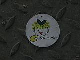 Golden_age_in_a_metal_world