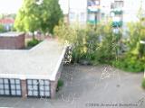Spinnenweb_aan_balkon_3