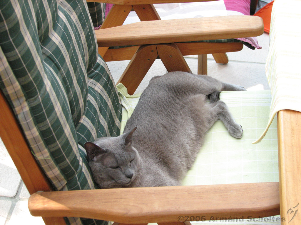 2006-06-18_Caressa_Toto_006.jpg