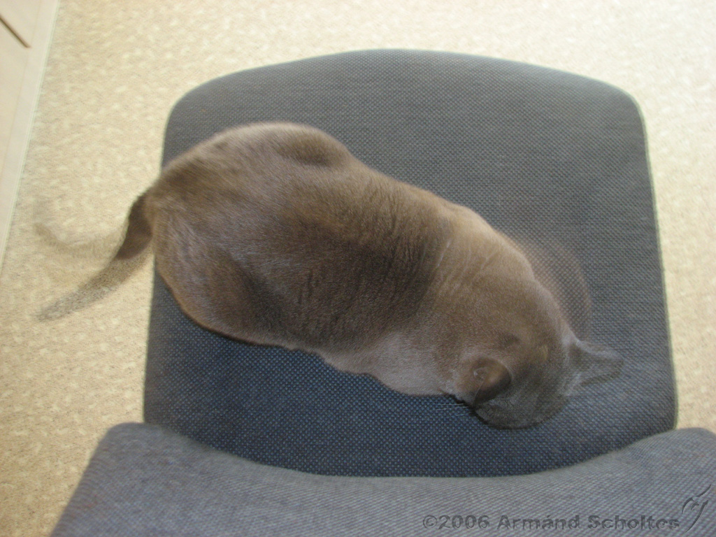 2006-09-11_Caressa_Toto_018.jpg