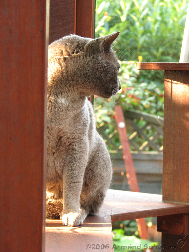 2006-09-11_Caressa_Toto_030.jpg