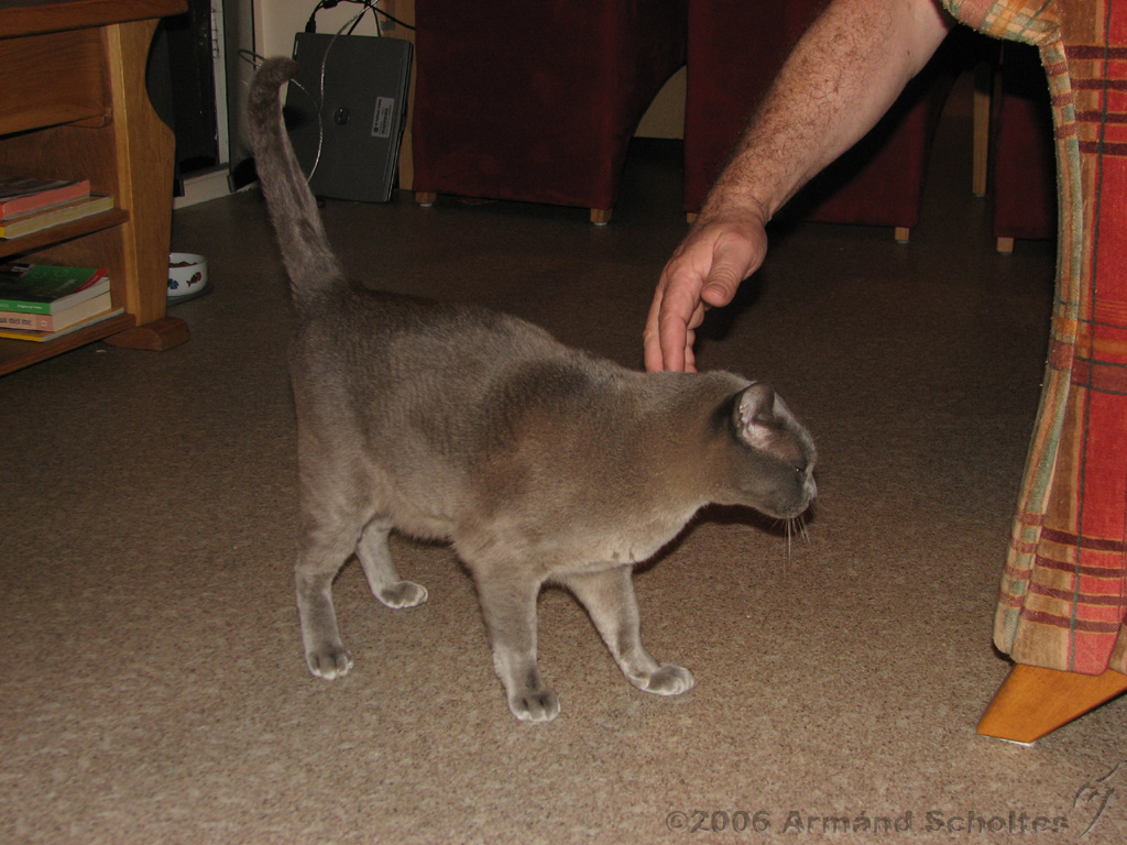 2006-09-11_Caressa_Toto_062.jpg