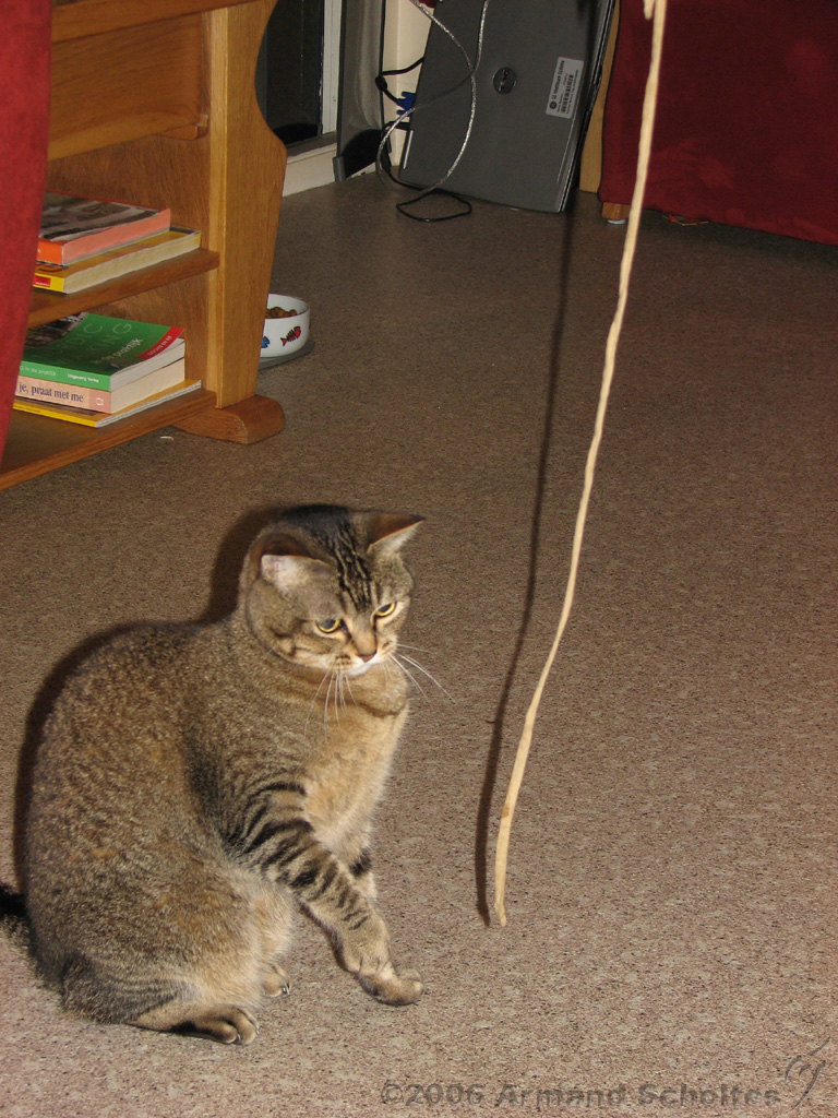 2006-09-11_Caressa_Toto_070.jpg