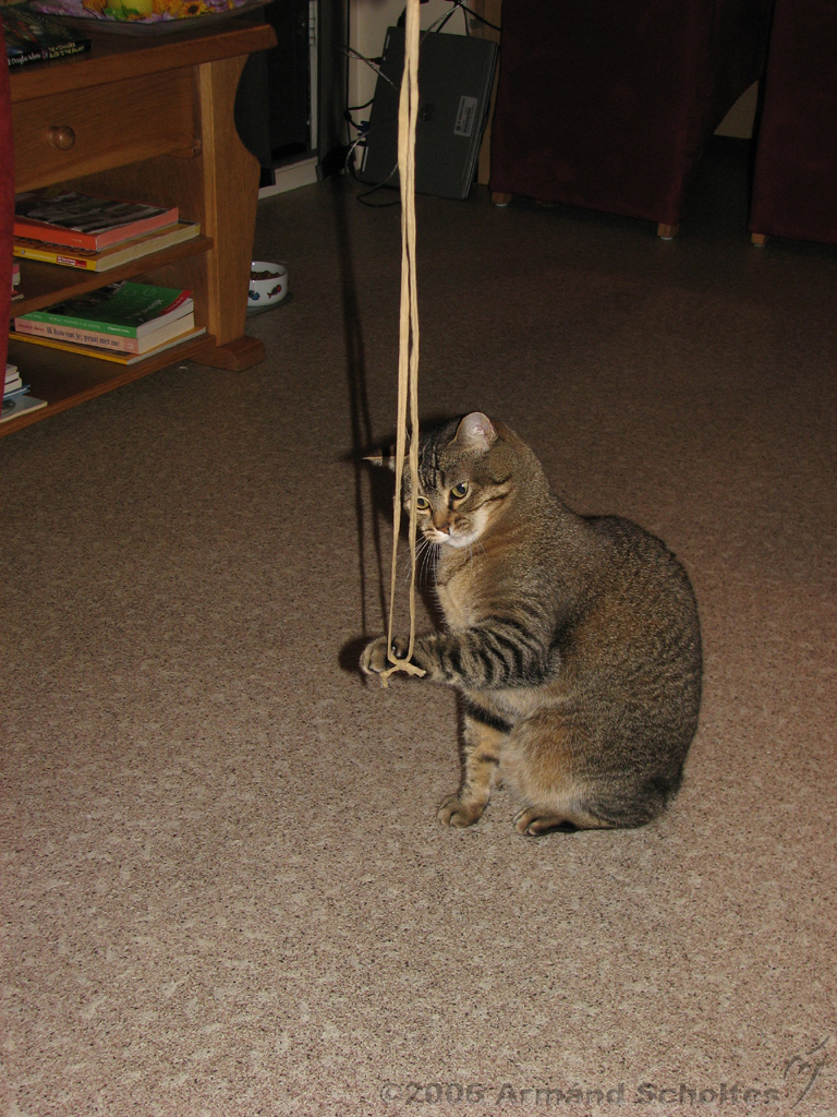 2006-09-11_Caressa_Toto_072.jpg