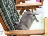 2006-06-18_Caressa_Toto_006