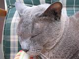 2006-09-11_Caressa_Toto_001