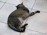 2006-09-11_Caressa_Toto_007
