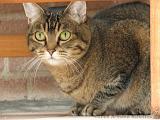 2006-09-11_Caressa_Toto_010