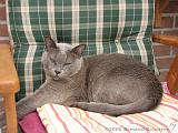 2006-09-11_Caressa_Toto_011