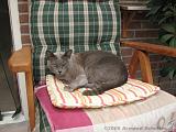2006-09-11_Caressa_Toto_012