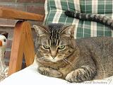 2006-09-11_Caressa_Toto_015