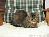 2006-09-11_Caressa_Toto_016