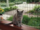 2006-09-11_Caressa_Toto_017