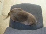 2006-09-11_Caressa_Toto_018