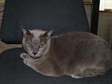 2006-09-11_Caressa_Toto_020